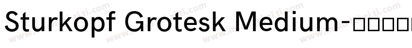 Sturkopf Grotesk Medium字体转换